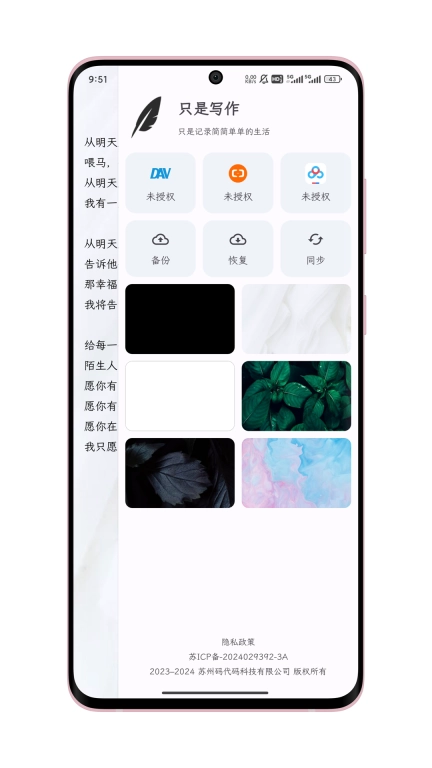 只是写作