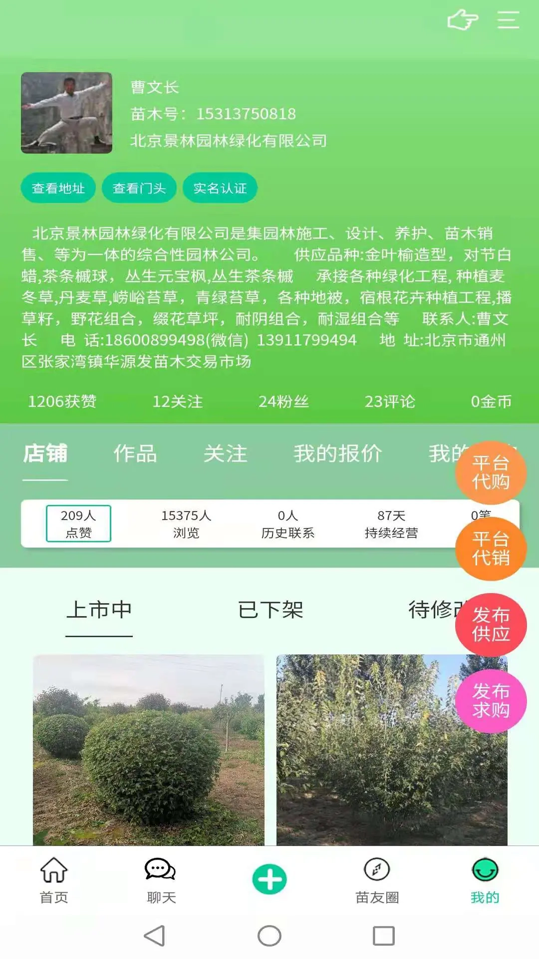 苗木人