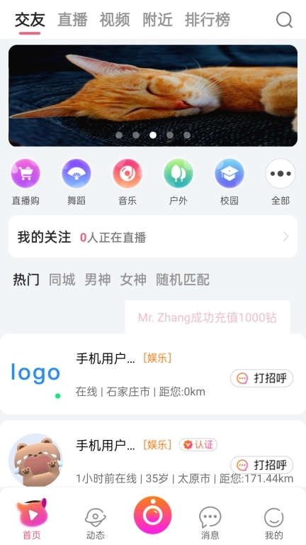 情探岛