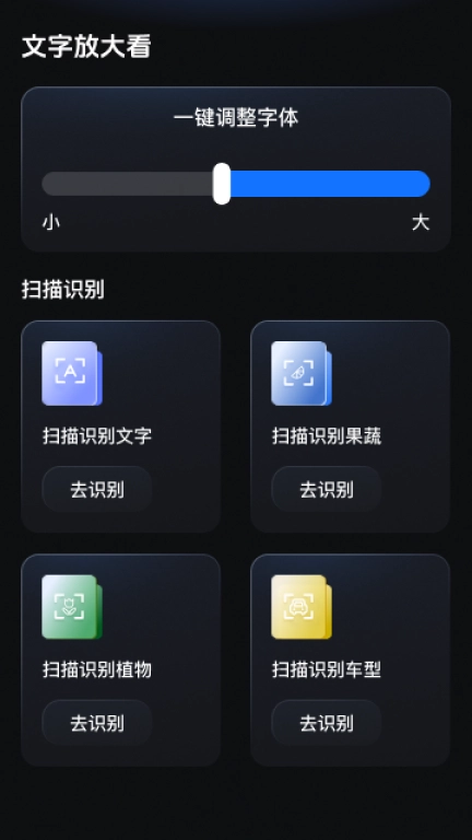 闪亮放大王