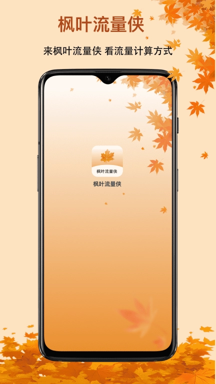 枫叶流量侠