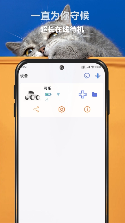 宠爱视界