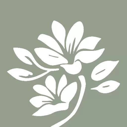 小茉护肤