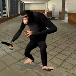 狒狒开放世界