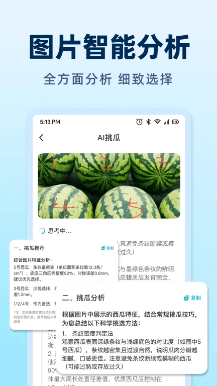 AI挑瓜-拍西瓜吃好瓜