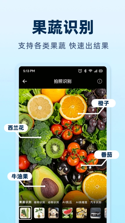 AI挑瓜-拍西瓜吃好瓜