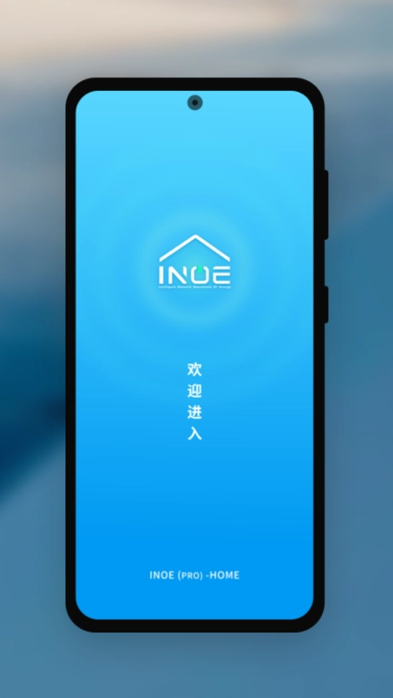 INOE专业版