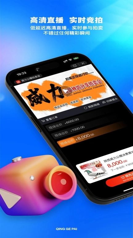 青鸽拍