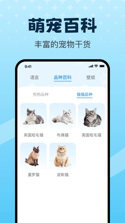 动物翻译器pet