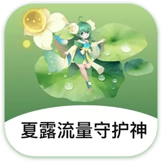夏露流量守护神