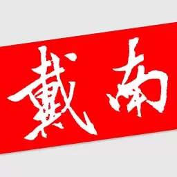 戴南在线