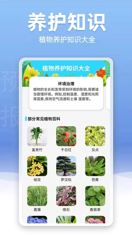 云朵气象站