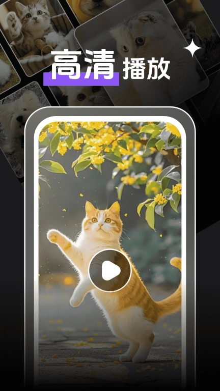 即刻观影播放器player-视频播放器