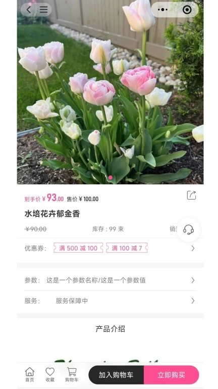 七彩荔枝