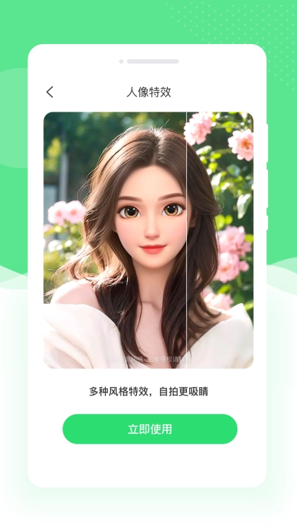 若竹相机