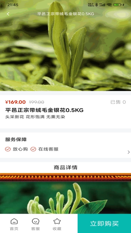 站长游