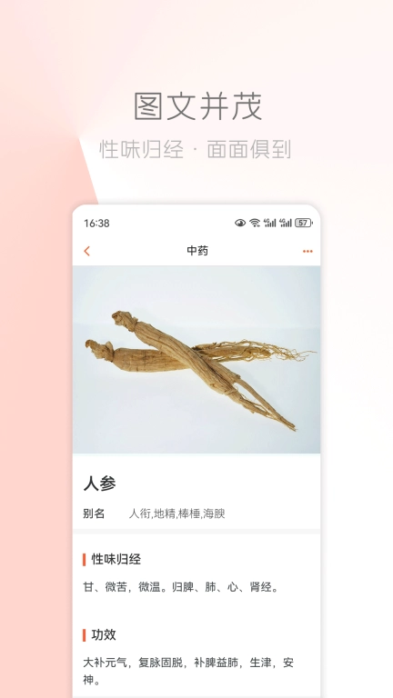 中医之家