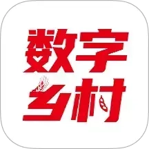 联通数村