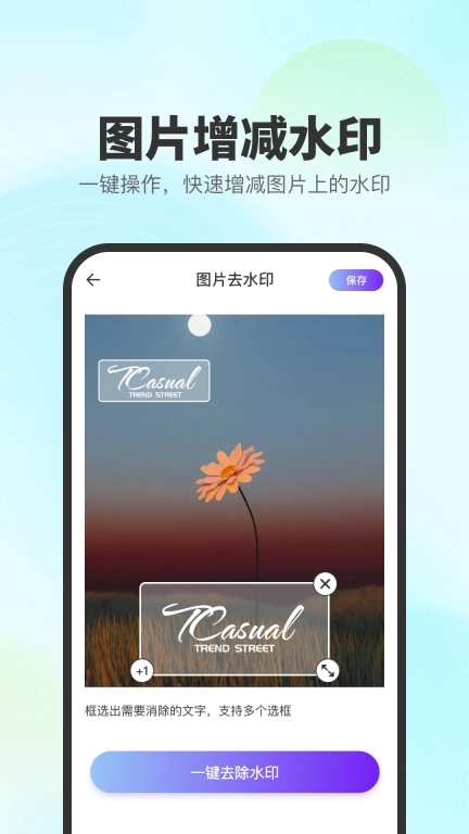 去印宝