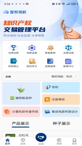 智权领航