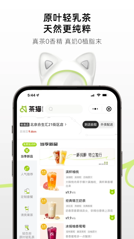 茶猫