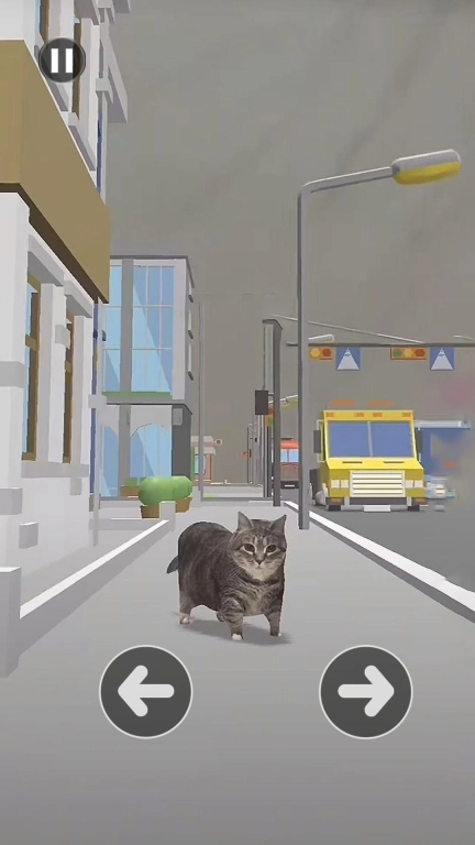 小猫爱冒险-Oi小猫过马路