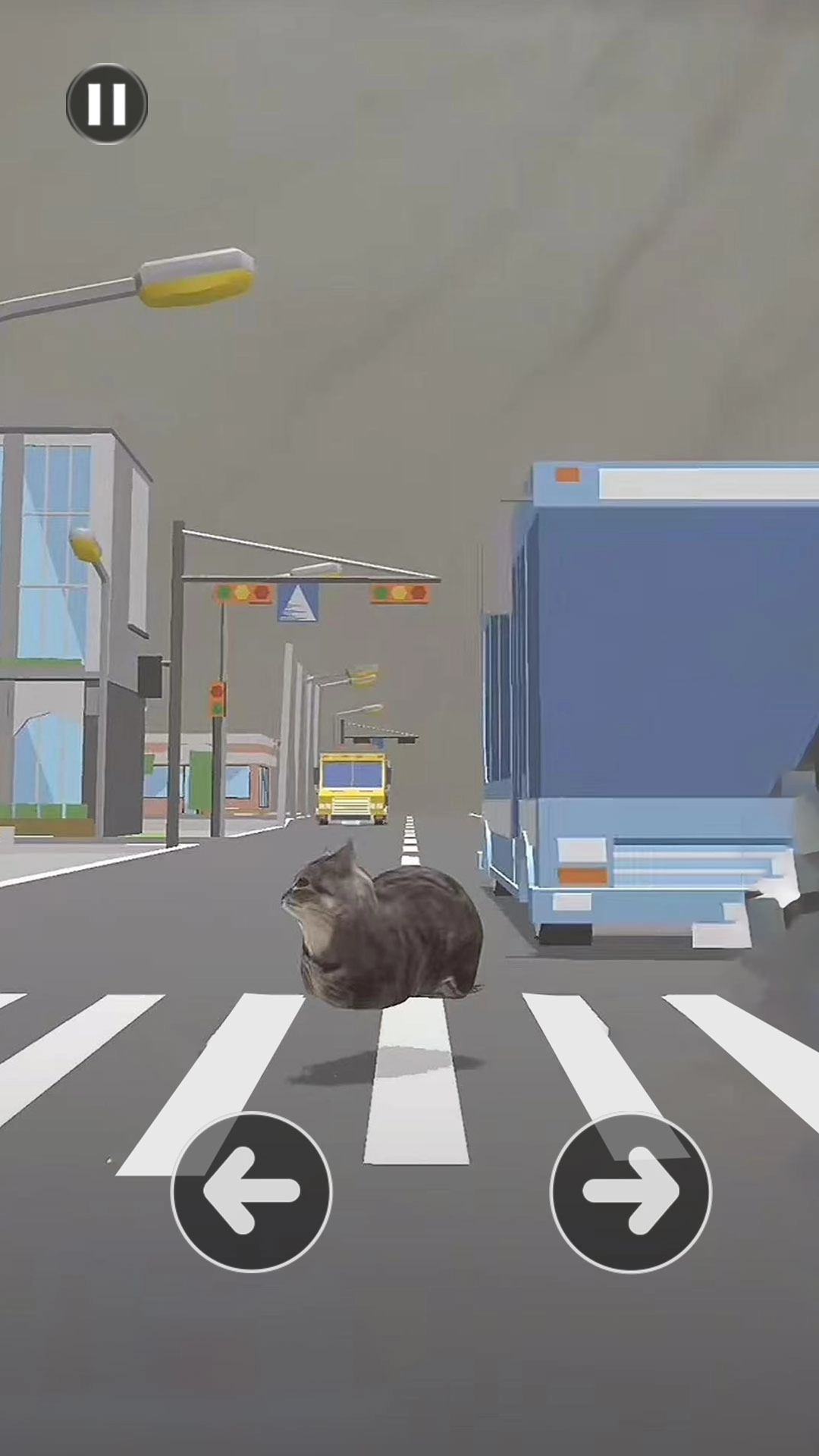 小猫爱冒险-Oi小猫过马路