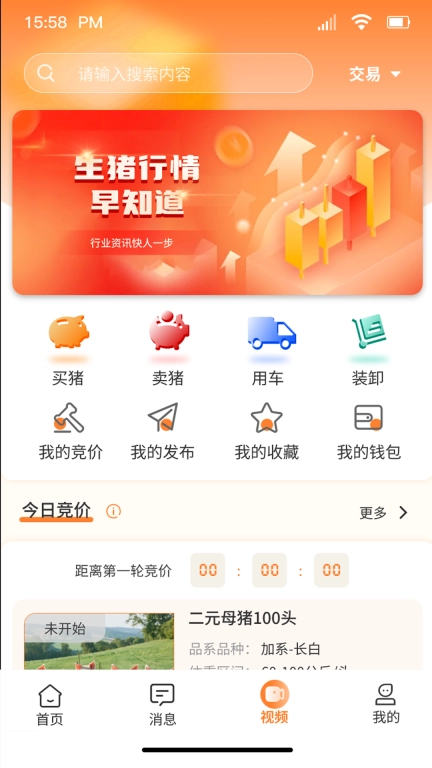 好多猪生猪交易平台