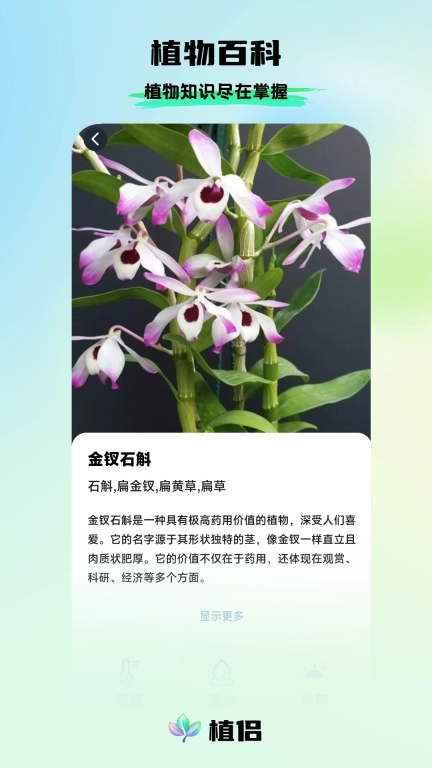 植侣