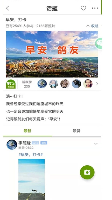 游鸽网