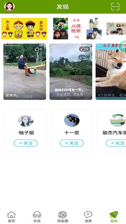 游鸽网