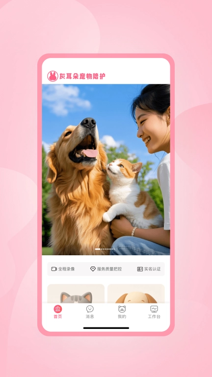 灰耳朵陪宠