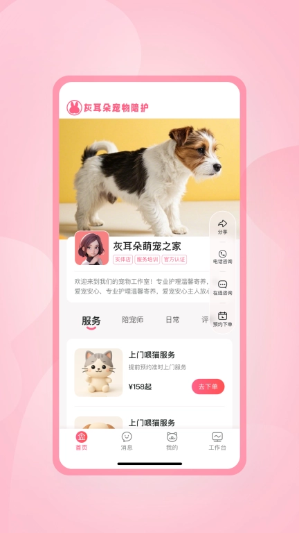 灰耳朵陪宠