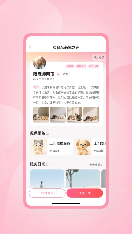灰耳朵陪宠