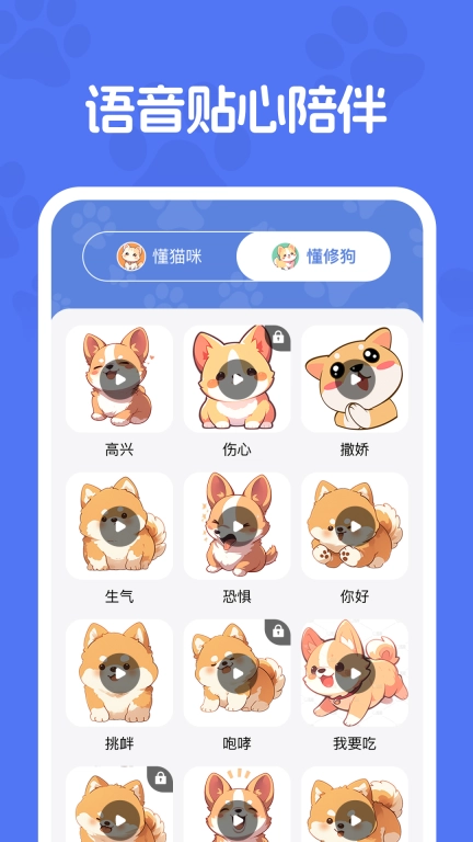 免费猫狗交流器