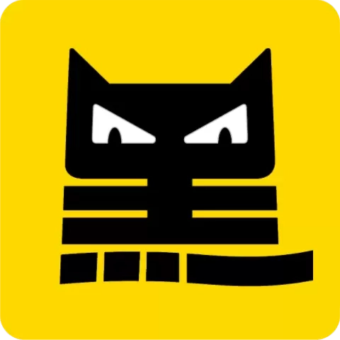 数智黑猫