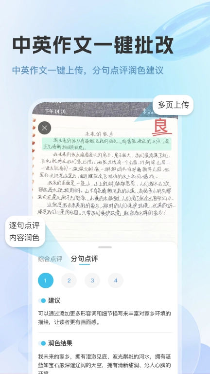蓝鲸伴学