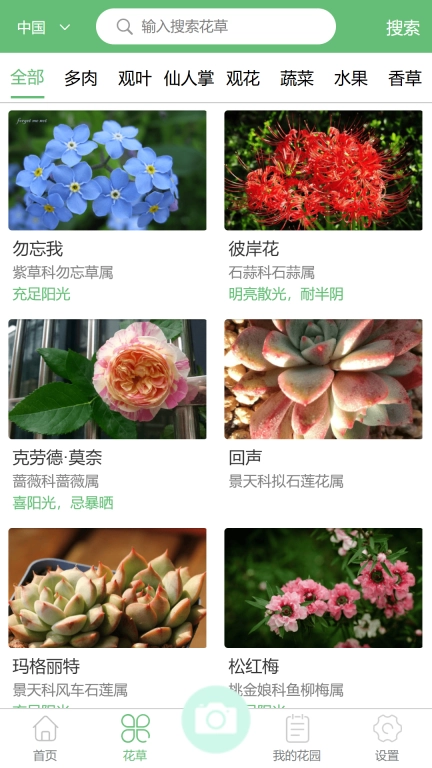 东篱花草