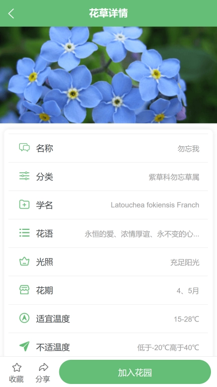 东篱花草