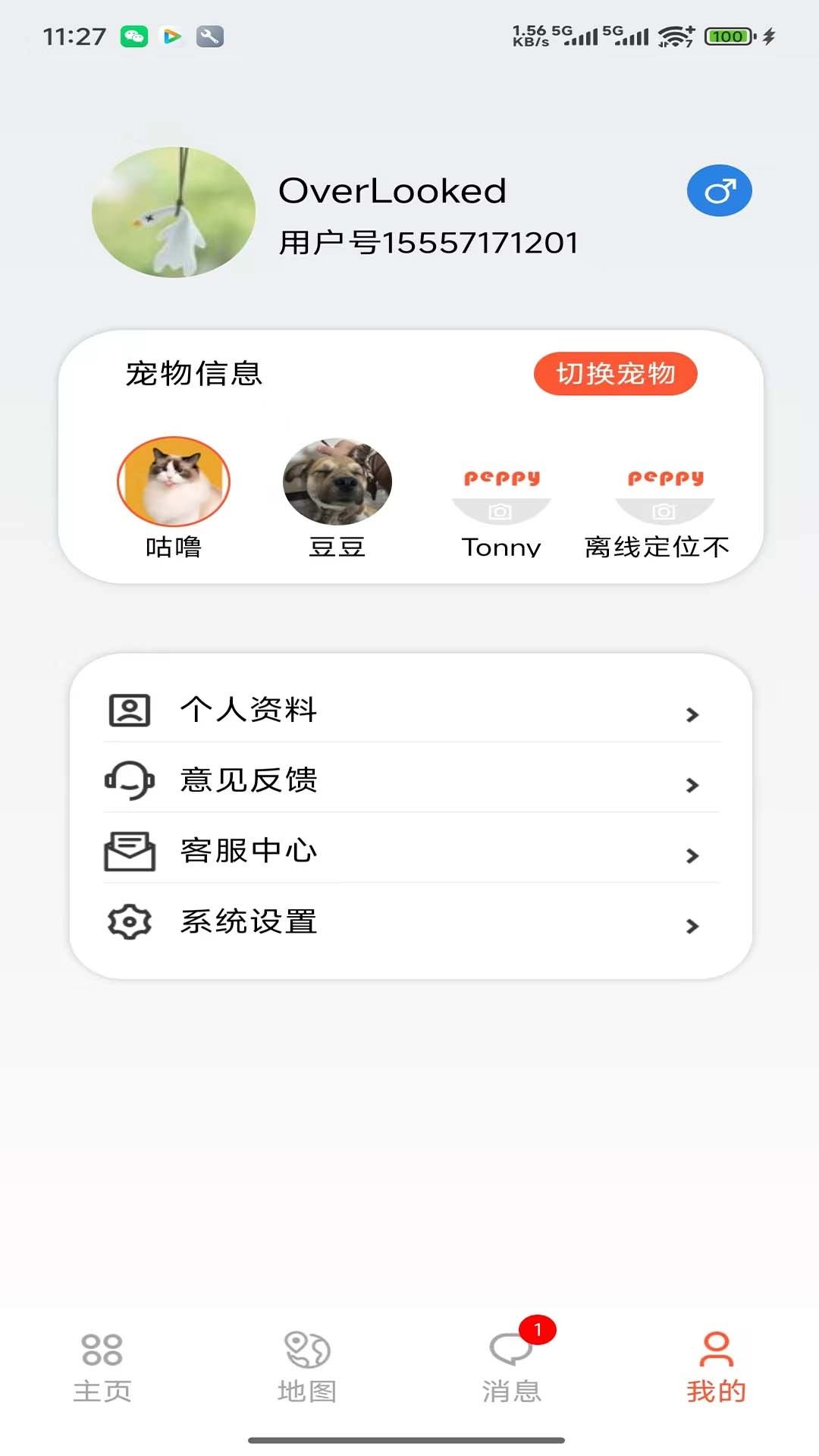 宠悦悦