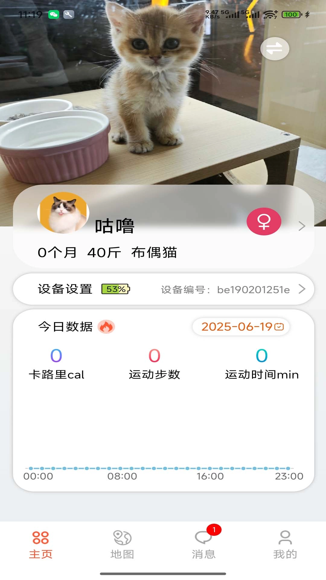 宠悦悦