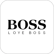 BOSS智能