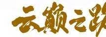 商战云巅之路正版