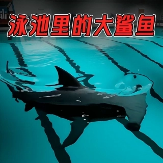 13号监狱异常监控