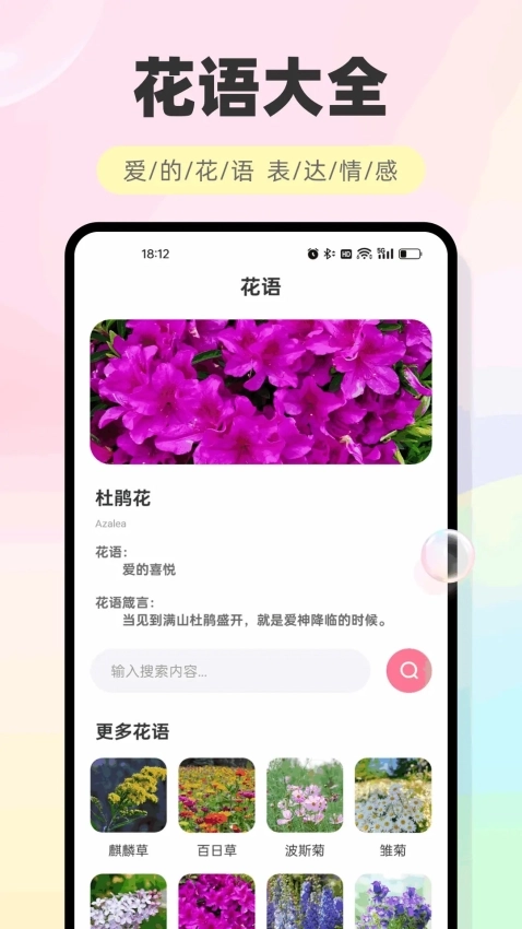 海鸥聊天图3