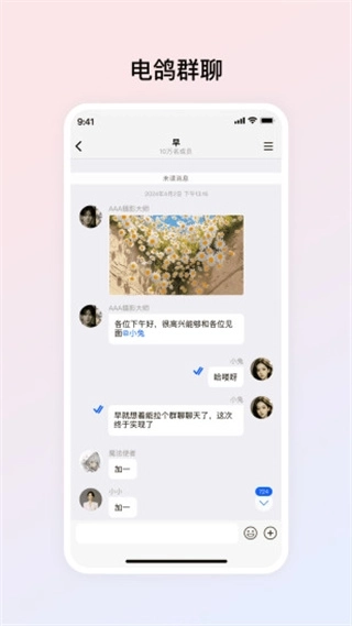 电鸽