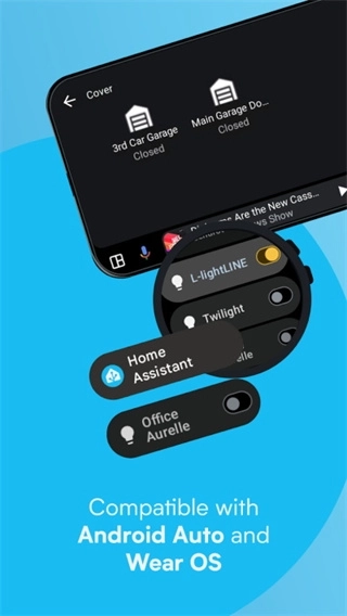 HomeAssistant