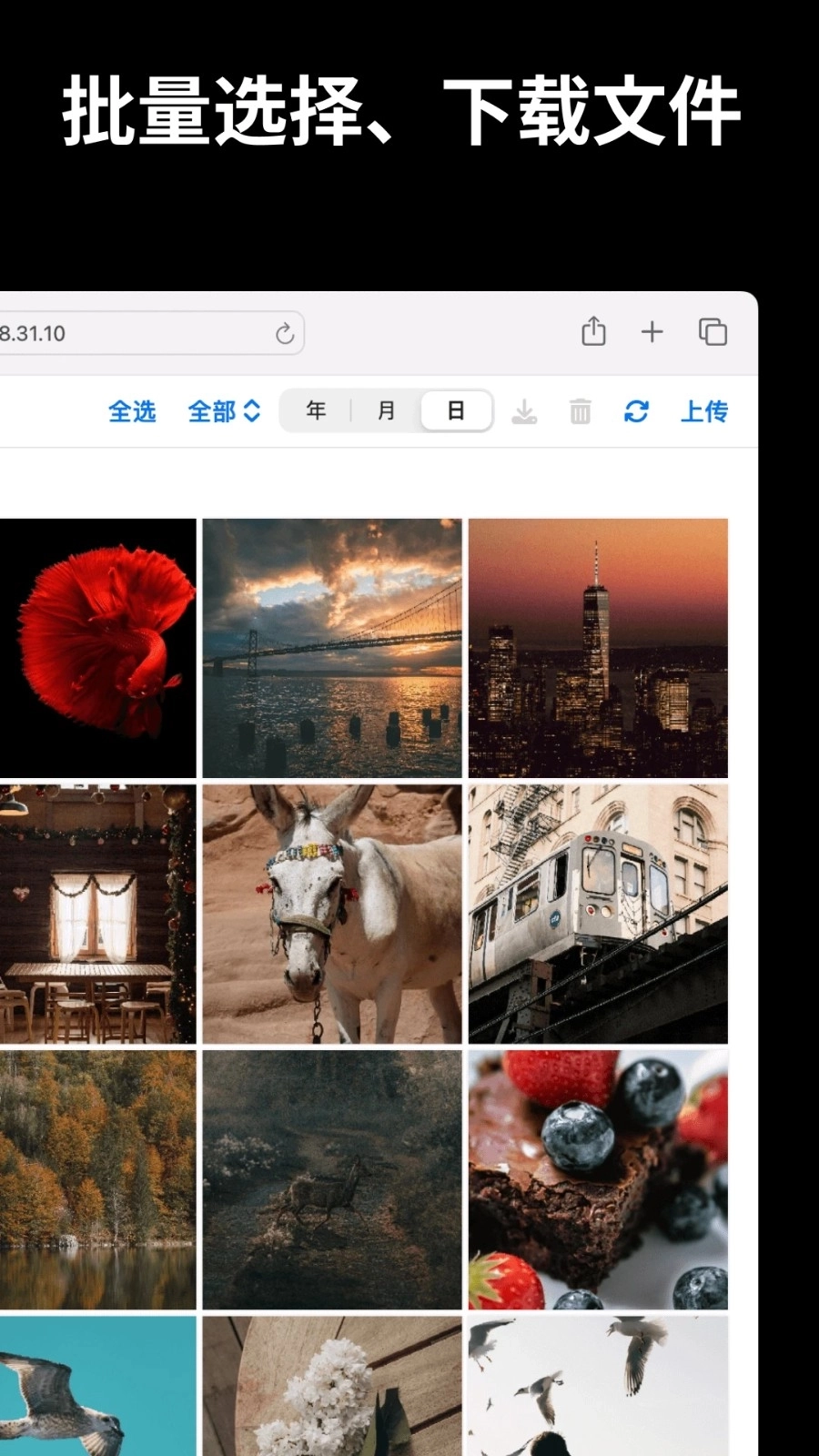 文件闪传旧版