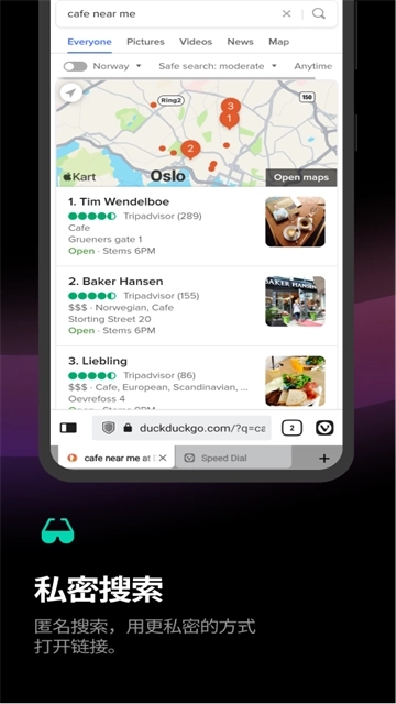 vivaldi图1