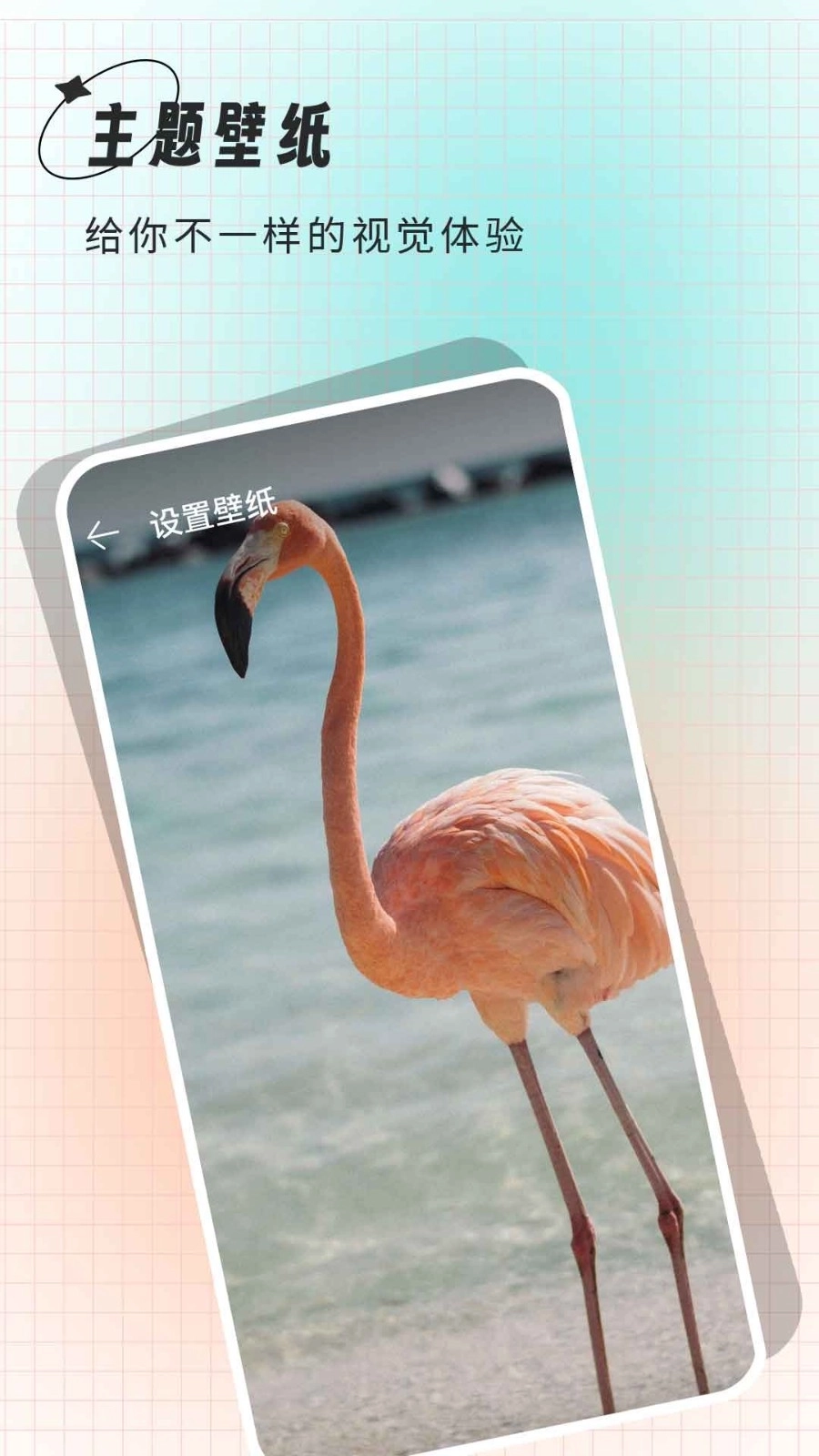 克拉壁纸标准版图1